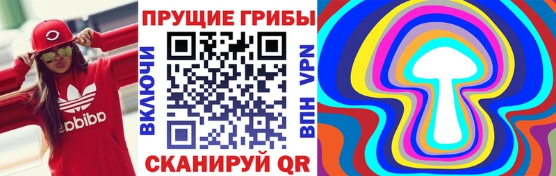 Купить где  Каменка  Галлюциногенные грибы мицелий 